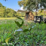 bushcraft-shelter